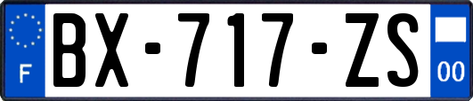 BX-717-ZS