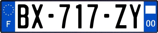 BX-717-ZY