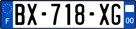 BX-718-XG