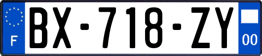 BX-718-ZY