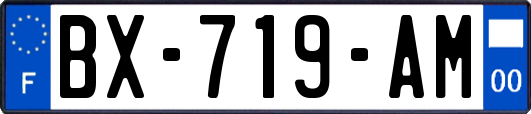 BX-719-AM