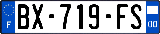 BX-719-FS