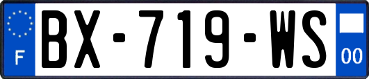 BX-719-WS