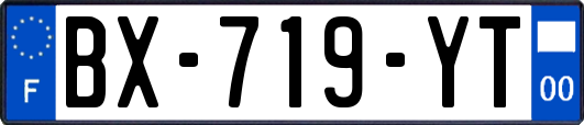 BX-719-YT