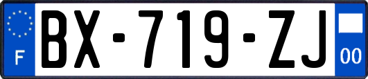 BX-719-ZJ