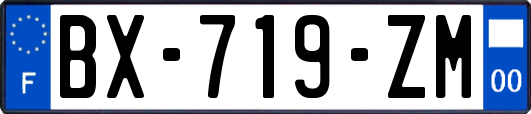 BX-719-ZM