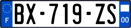 BX-719-ZS