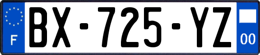 BX-725-YZ