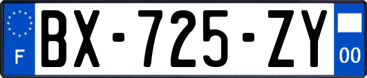 BX-725-ZY