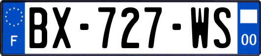 BX-727-WS