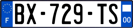 BX-729-TS