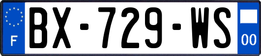 BX-729-WS