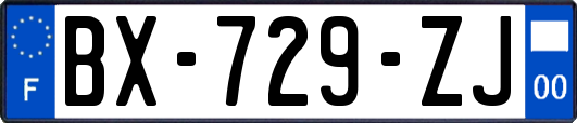 BX-729-ZJ