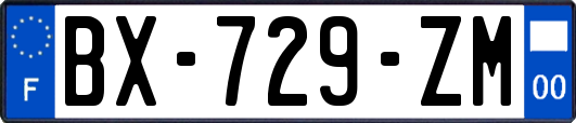 BX-729-ZM