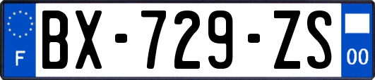BX-729-ZS