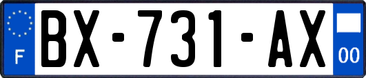 BX-731-AX