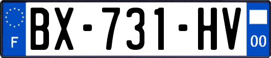 BX-731-HV