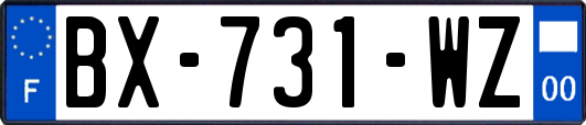 BX-731-WZ