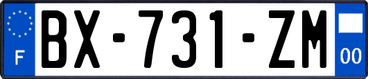 BX-731-ZM