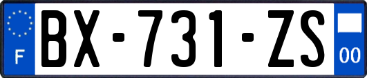 BX-731-ZS