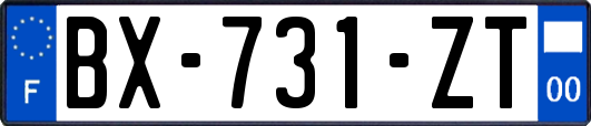 BX-731-ZT