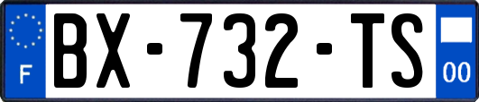 BX-732-TS