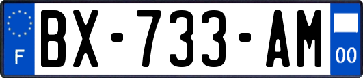 BX-733-AM