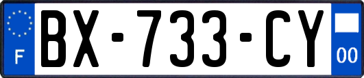 BX-733-CY