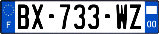 BX-733-WZ