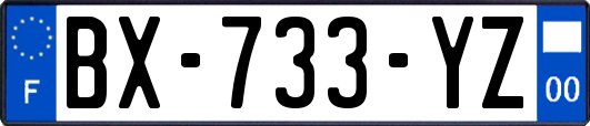 BX-733-YZ