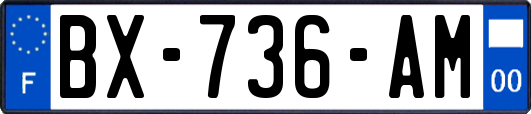 BX-736-AM