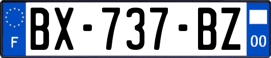 BX-737-BZ