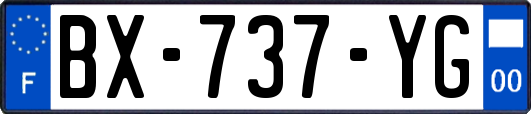 BX-737-YG