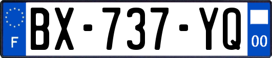 BX-737-YQ