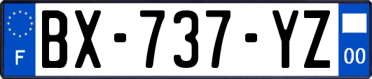 BX-737-YZ