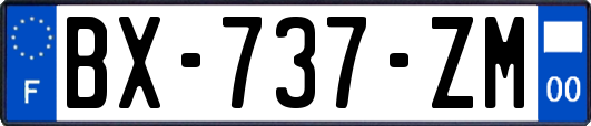 BX-737-ZM