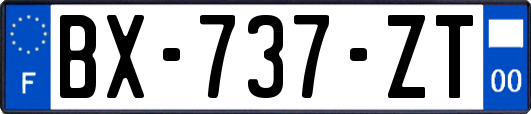 BX-737-ZT