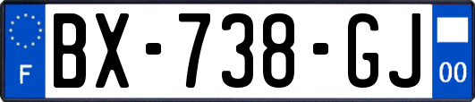 BX-738-GJ