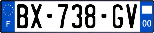 BX-738-GV