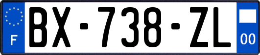 BX-738-ZL