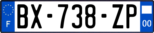 BX-738-ZP