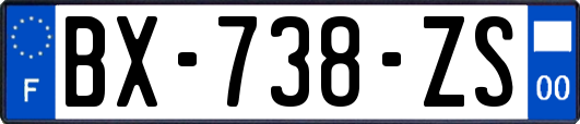 BX-738-ZS