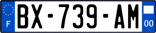 BX-739-AM