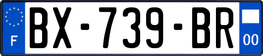 BX-739-BR