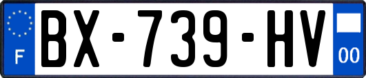 BX-739-HV