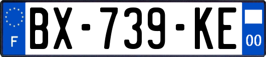 BX-739-KE