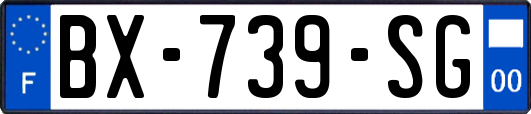 BX-739-SG