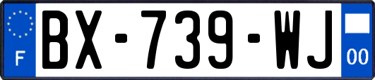 BX-739-WJ