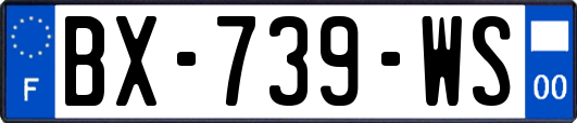 BX-739-WS