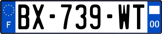 BX-739-WT